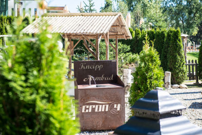 Immagine di 7-mesi sauna+piscina